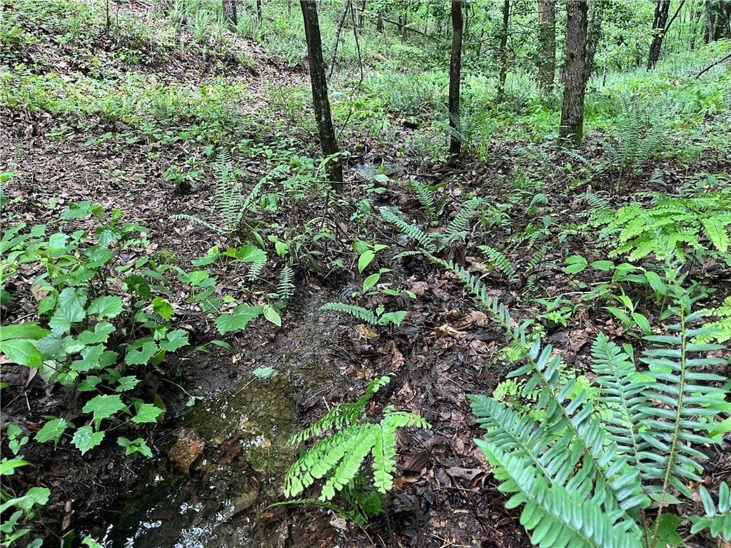 unimproved land for sale at 1720 Rebekah Ridge Road, Talking Rock, GA 30175 — photo 2