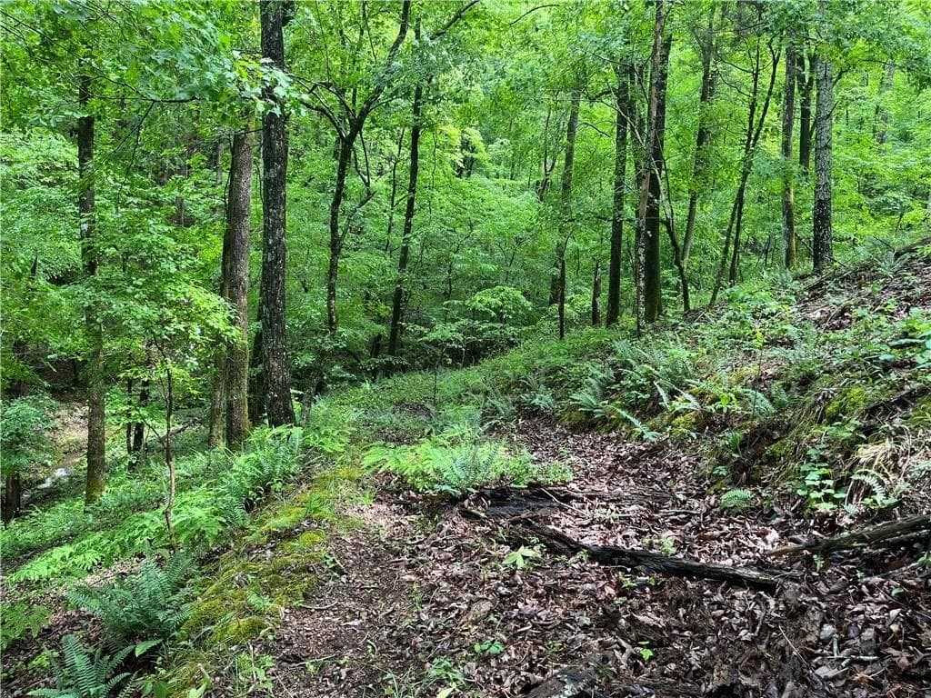 unimproved land for sale at 1720 Rebekah Ridge Road, Talking Rock, GA 30175 — photo 4