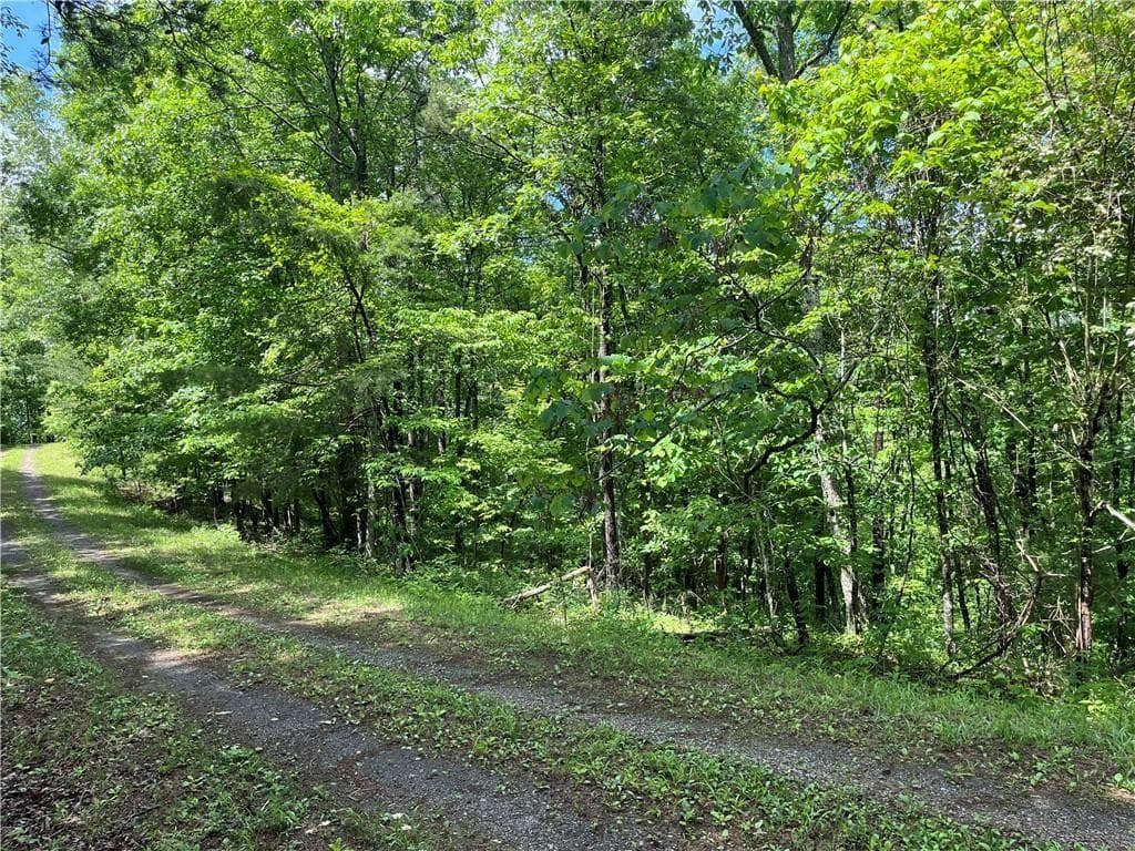unimproved land for sale at 1720 Rebekah Ridge Road, Talking Rock, GA 30175 — photo 5