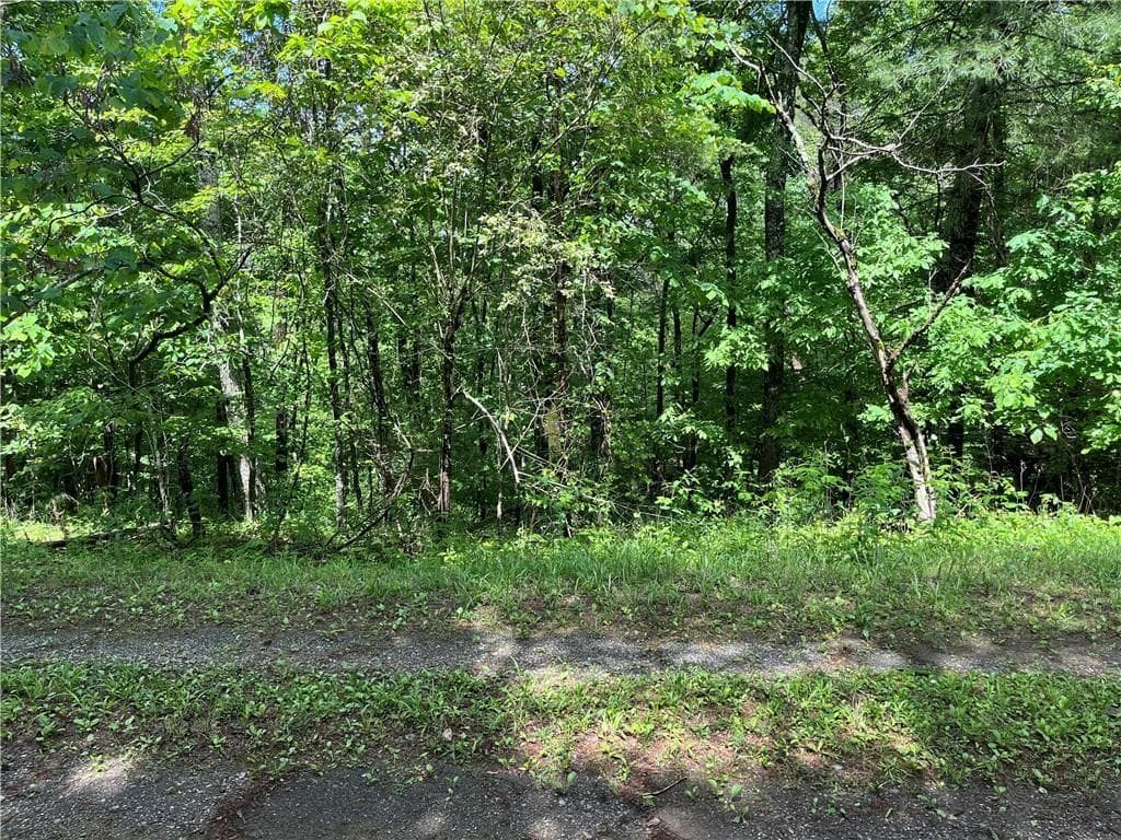 unimproved land for sale at 1720 Rebekah Ridge Road, Talking Rock, GA 30175 — photo 6