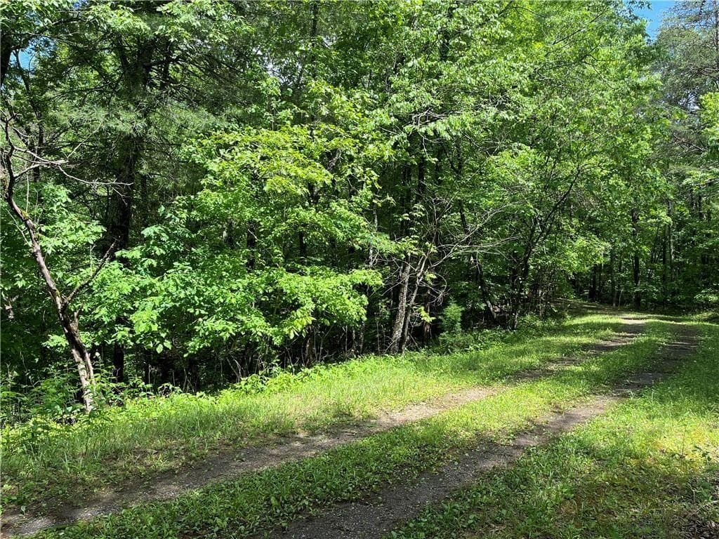 unimproved land for sale at 1720 Rebekah Ridge Road, Talking Rock, GA 30175 — photo 7
