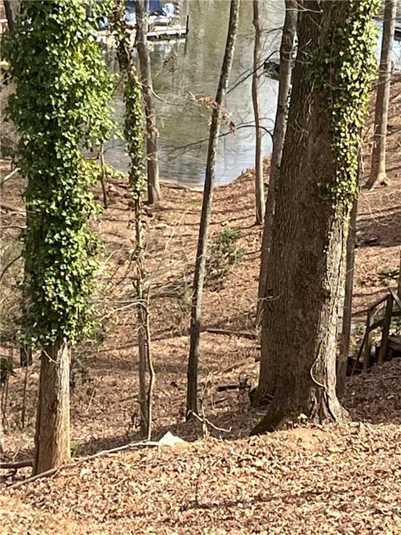single family residence for sale at 2545 Bridgewater Drive, Gainesville, GA 30506 — photo 3