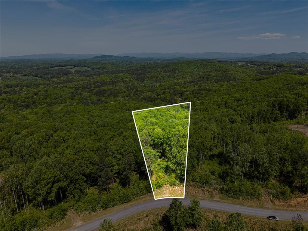 unimproved land for sale at LT 112 Twisted Oak Road, Talking Rock, GA 30175 — photo 10