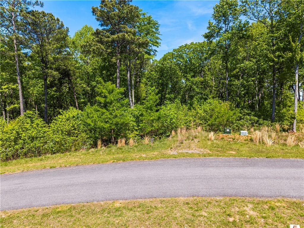 unimproved land for sale at LT 112 Twisted Oak Road, Talking Rock, GA 30175 — photo 3