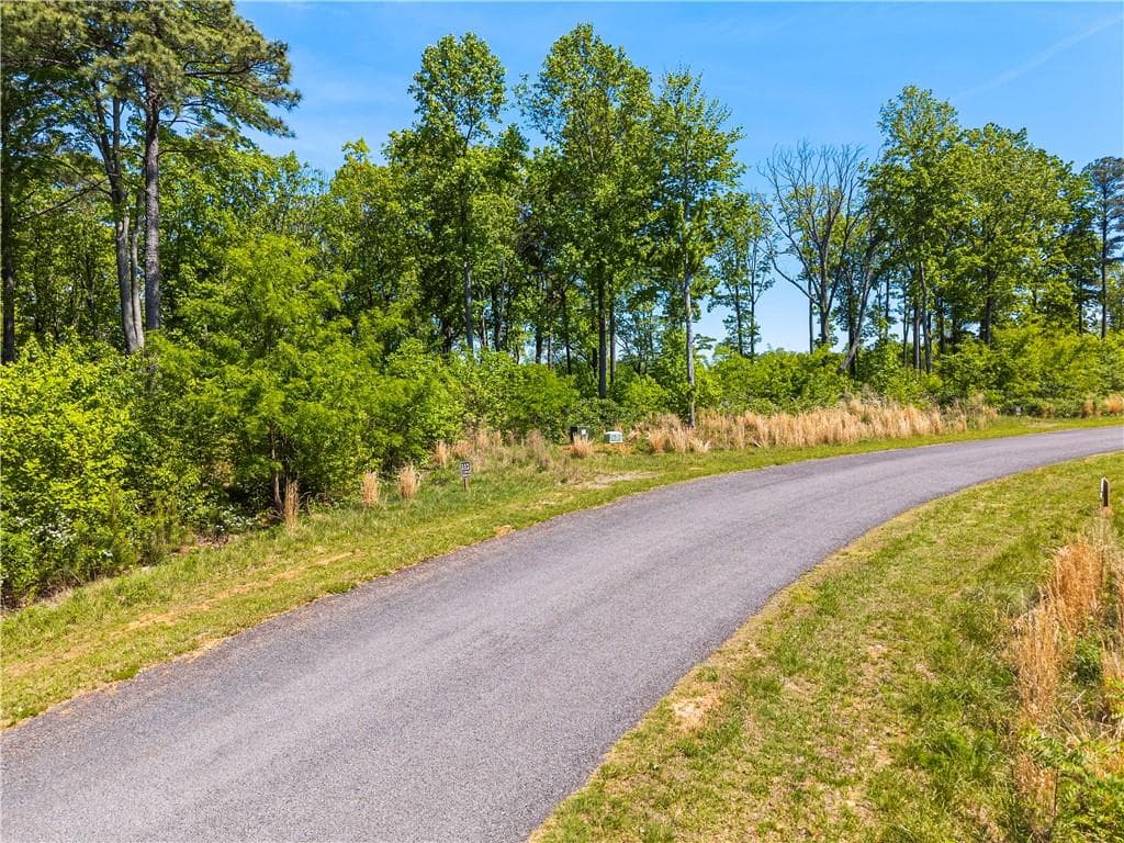 unimproved land for sale at LT 112 Twisted Oak Road, Talking Rock, GA 30175 — photo 4
