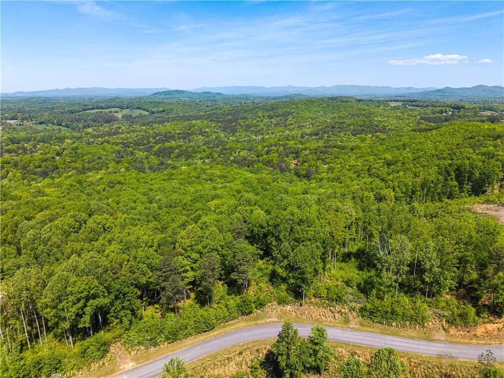 unimproved land for sale at LT 112 Twisted Oak Road, Talking Rock, GA 30175 — photo 5