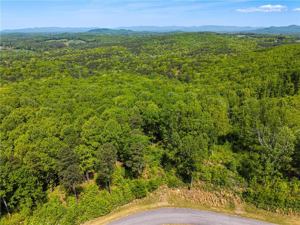unimproved land for sale at LT 112 Twisted Oak Road, Talking Rock, GA 30175 — photo 6