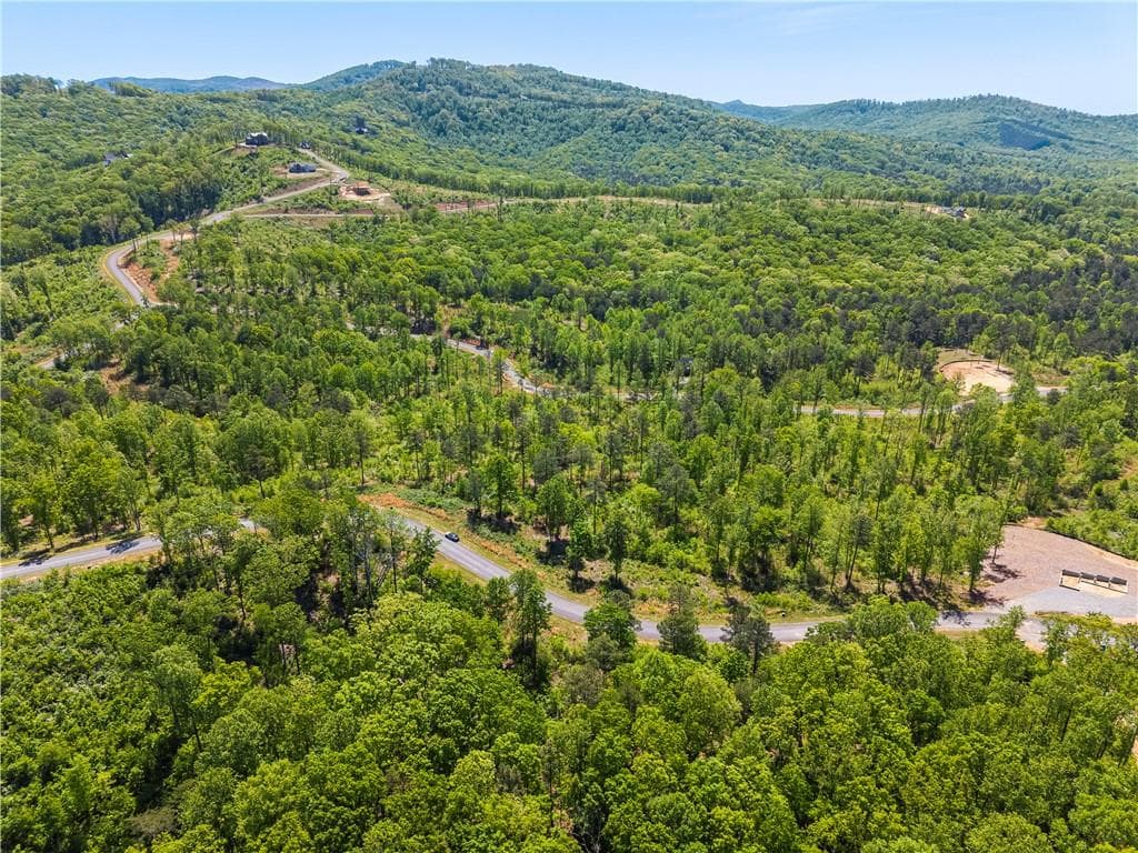 unimproved land for sale at LT 112 Twisted Oak Road, Talking Rock, GA 30175 — photo 7