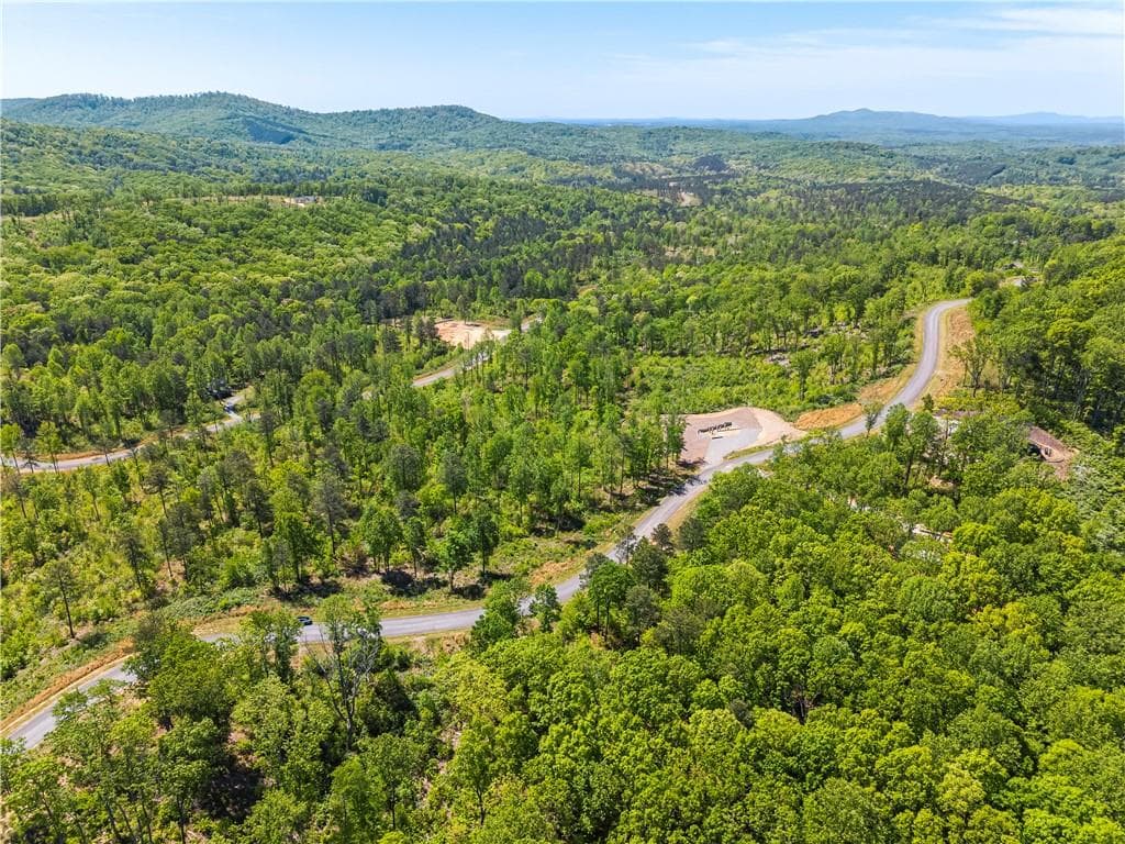 unimproved land for sale at LT 112 Twisted Oak Road, Talking Rock, GA 30175 — photo 8