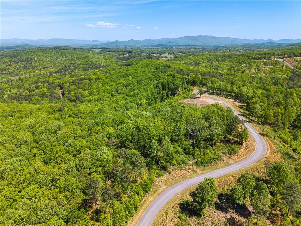 unimproved land for sale at LT 112 Twisted Oak Road, Talking Rock, GA 30175 — photo 9