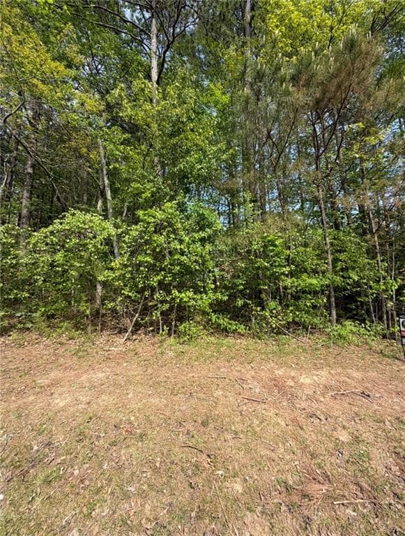 unimproved land for sale at 7195 Freeman Road, Cumming, GA 30028 — photo 4