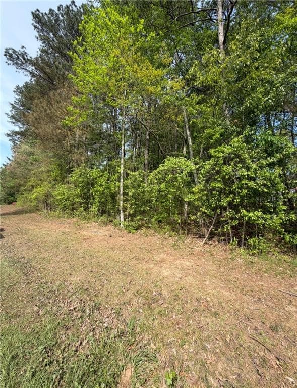 unimproved land for sale at 7195 Freeman Road, Cumming, GA 30028 — photo 5