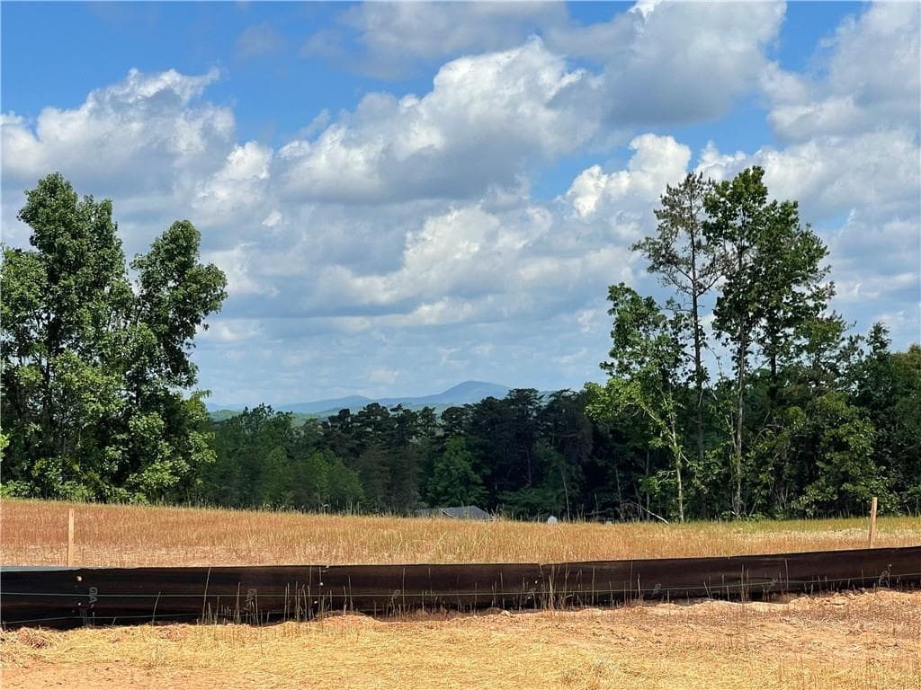 3 bedroom, 3 bathroom, 2,600 sq ft single family residence for sale at 1972 Assembly Circle (Lot 104), Gainesville, GA 30501 — photo 10