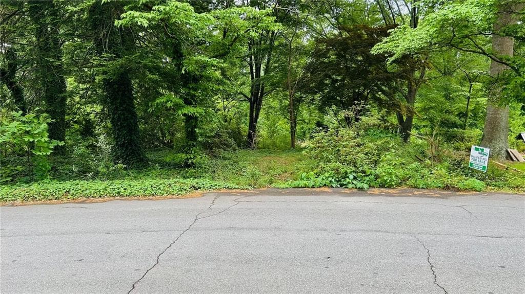 unimproved land for sale at 1841 Posten Lane, Mableton, GA 30126 — photo 4