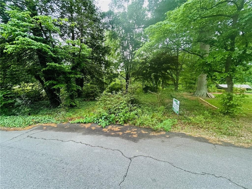 unimproved land for sale at 1841 Posten Lane, Mableton, GA 30126 — photo 5