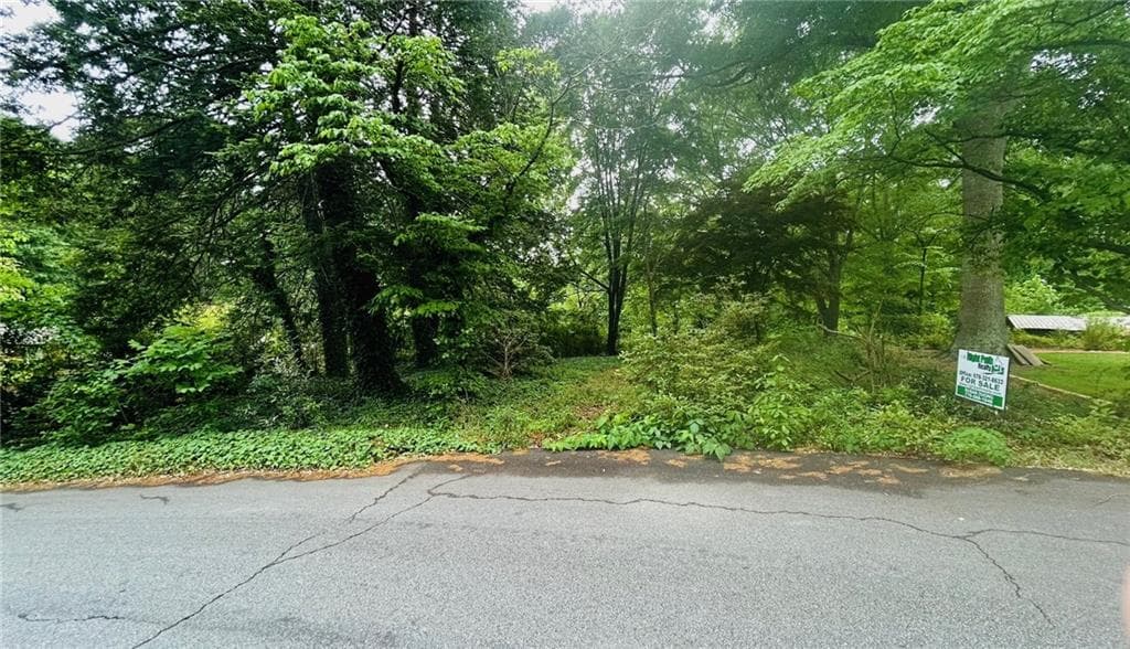 unimproved land for sale at 1841 Posten Lane, Mableton, GA 30126 — photo 7
