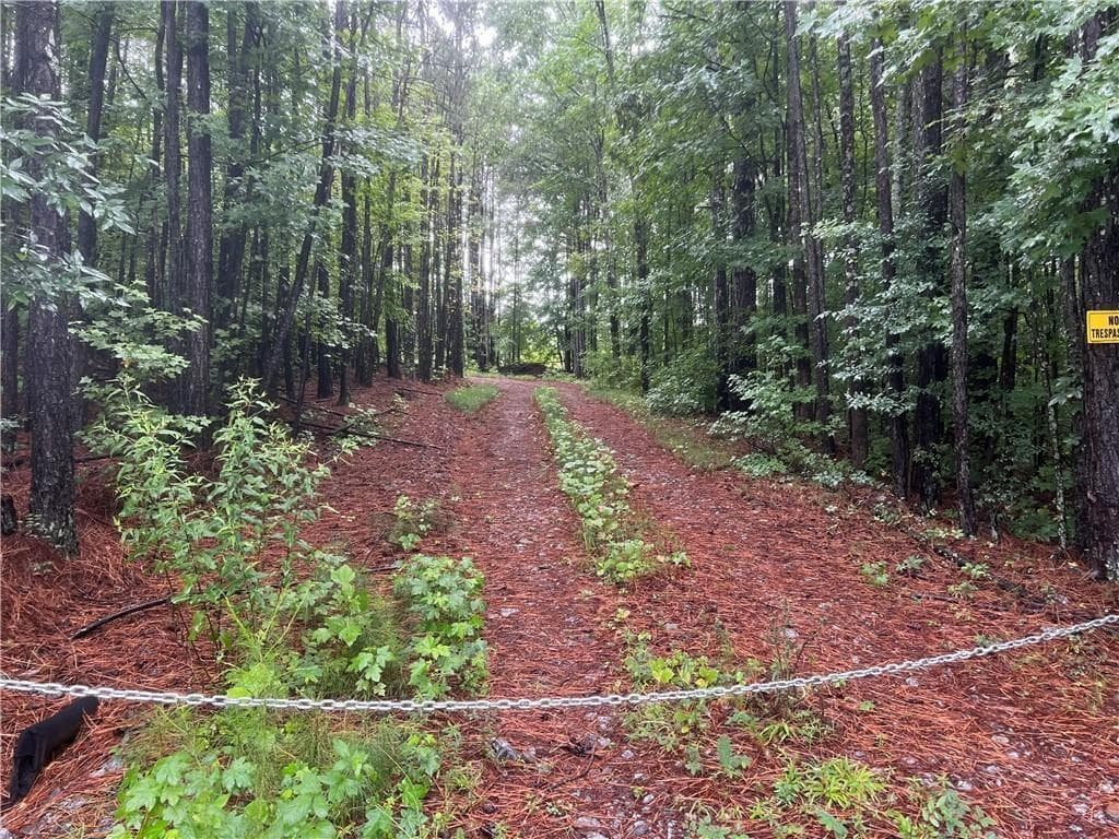 unimproved land for sale at 13 J R Road, Cartersville, GA 30121 — photo 4