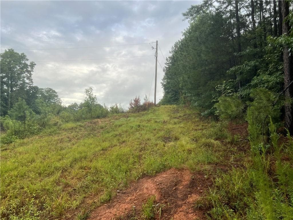unimproved land for sale at 13 J R Road, Cartersville, GA 30121 — photo 5