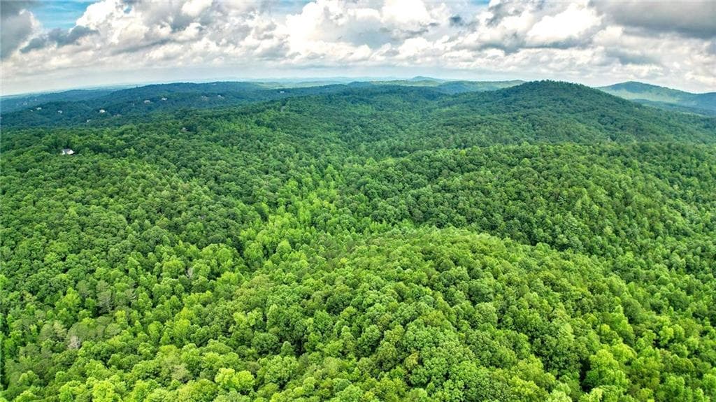 unimproved land for sale at Trt A Cascade Drive, Jasper, GA 30143 — photo 9