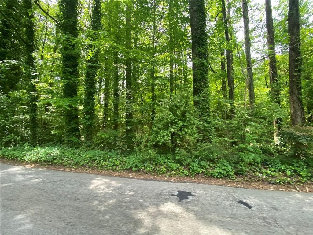 unimproved land for sale at 0 Conley Road, Atlanta, GA 30354 — photo 3