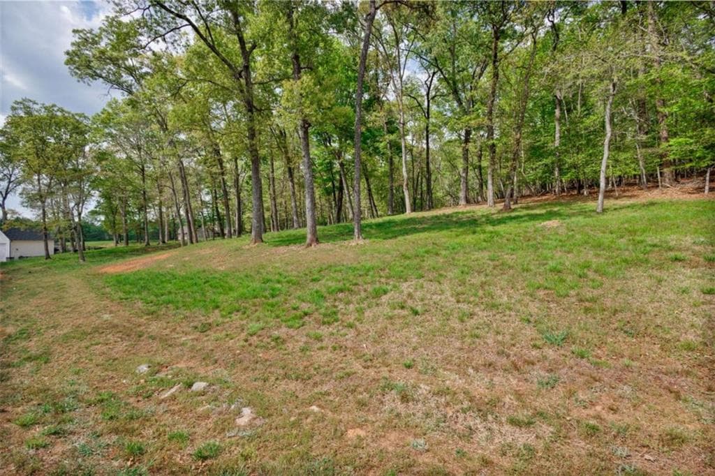single family residence for sale at LOT 29 Open Water Lane, Blairsville, GA 30512 — photo 5