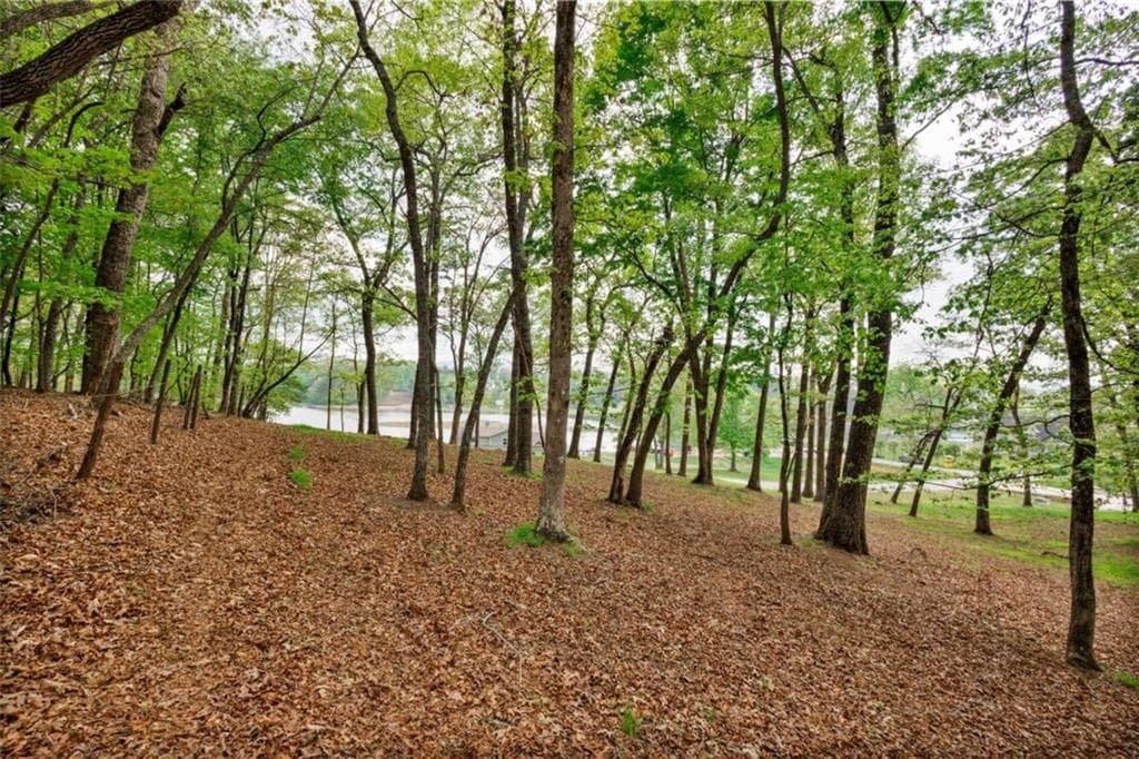single family residence for sale at LOT 29 Open Water Lane, Blairsville, GA 30512 — photo 8