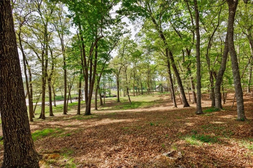 single family residence for sale at LOT 29 Open Water Lane, Blairsville, GA 30512 — photo 9