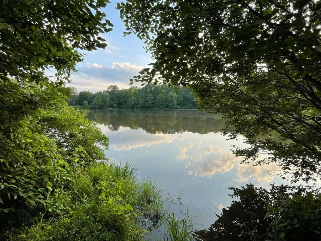 unimproved land for sale at 0 Us Highway 78, Tallapoosa, GA 30176 — photo 2