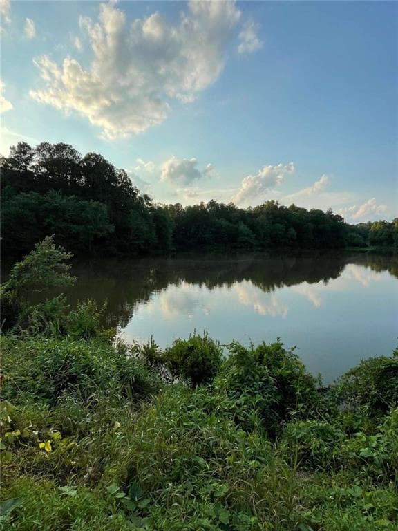 unimproved land for sale at 0 Us Highway 78, Tallapoosa, GA 30176 — photo 3