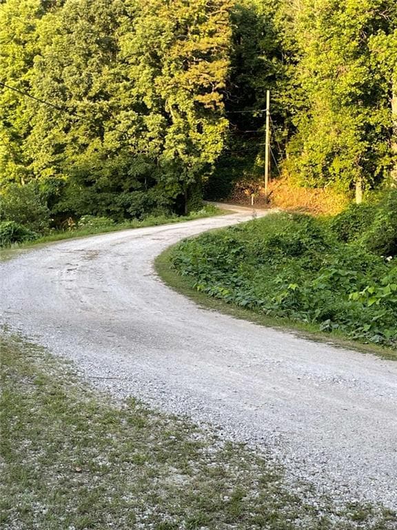 unimproved land for sale at 0 Us Highway 78, Tallapoosa, GA 30176 — photo 4
