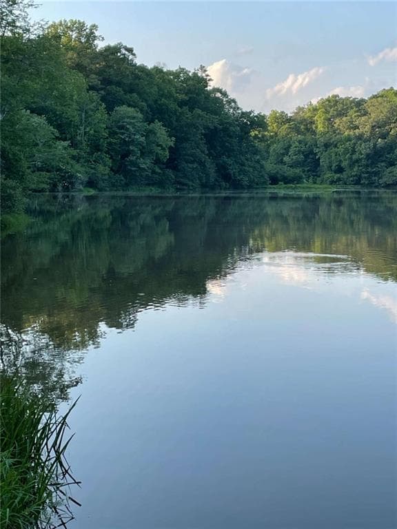 unimproved land for sale at 0 Us Highway 78, Tallapoosa, GA 30176 — photo 5