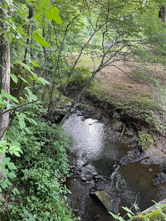 unimproved land for sale at 0 Us Highway 78, Tallapoosa, GA 30176 — photo 9