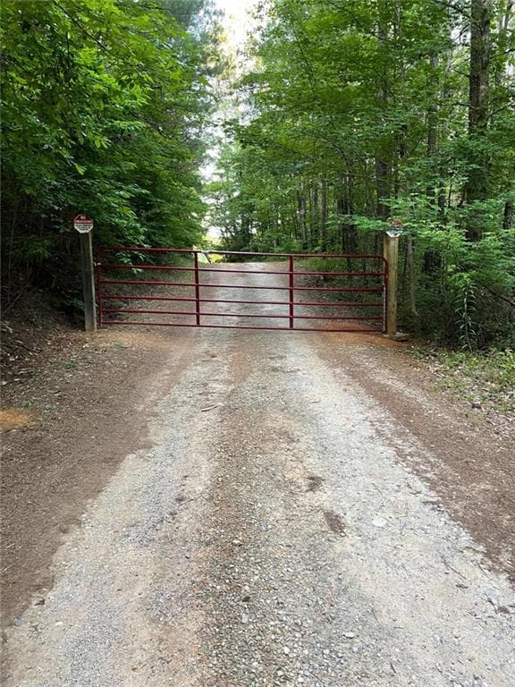 unimproved land for sale at 0 Us Highway 78, Tallapoosa, GA 30176 — photo 10