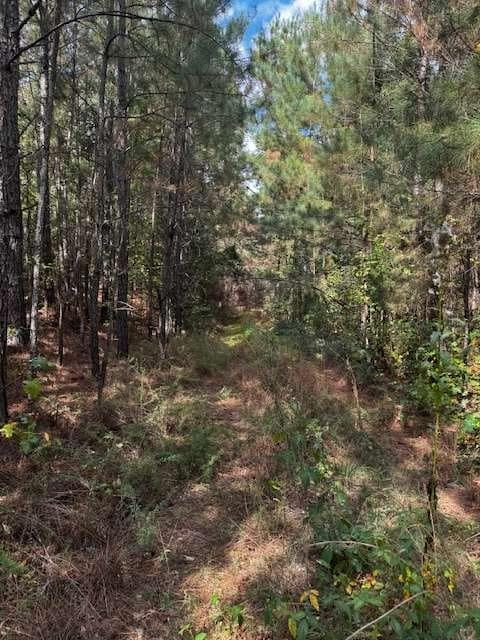 688,245 sq ft single family residence for sale at 230 Dodgen Road, Hampton, GA 30228