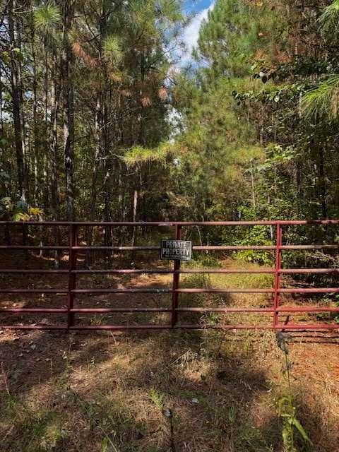 688,245 sq ft single family residence for sale at 230 Dodgen Road, Hampton, GA 30228 — photo 2