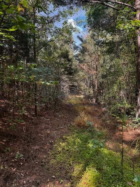 688,245 sq ft single family residence for sale at 230 Dodgen Road, Hampton, GA 30228 — photo 3
