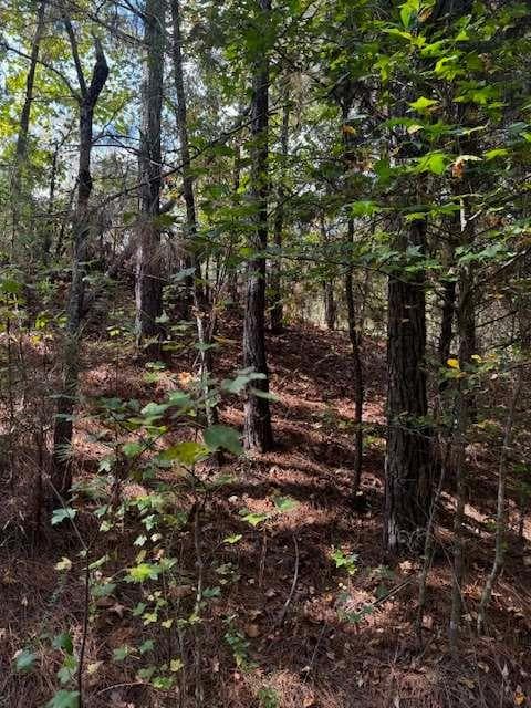 688,245 sq ft single family residence for sale at 230 Dodgen Road, Hampton, GA 30228 — photo 4