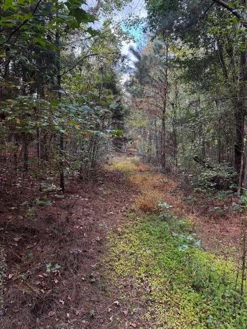 688,245 sq ft single family residence for sale at 230 Dodgen Road, Hampton, GA 30228 — photo 5