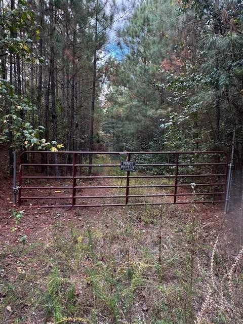 688,245 sq ft single family residence for sale at 230 Dodgen Road, Hampton, GA 30228 — photo 6
