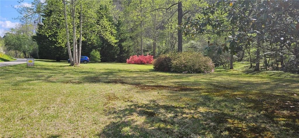 5 bedroom, 3 bathroom, 3,108 sq ft single family residence under contract at 136 Ross Road, Mineral Bluff, GA 30559 — photo 9
