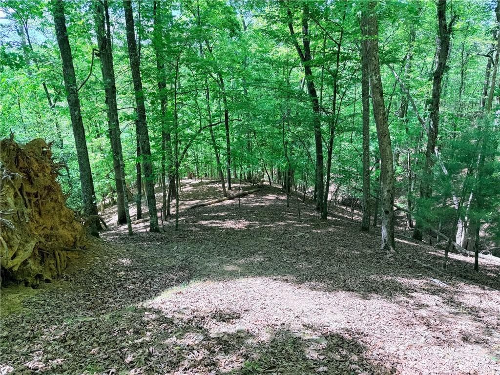 other for sale at 2075 Parody Circle, Ellijay, GA 30540 — photo 2