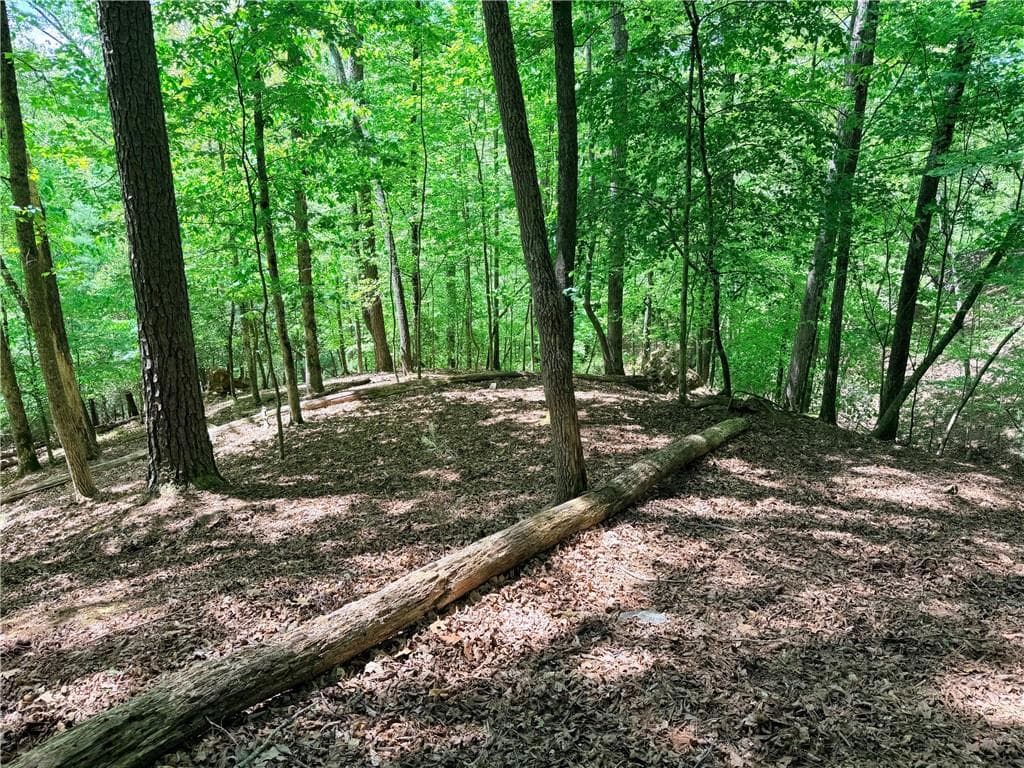 other for sale at 2075 Parody Circle, Ellijay, GA 30540 — photo 3