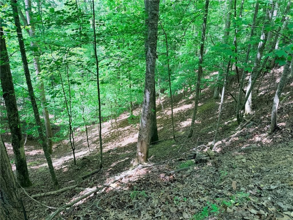 other for sale at 2075 Parody Circle, Ellijay, GA 30540 — photo 4