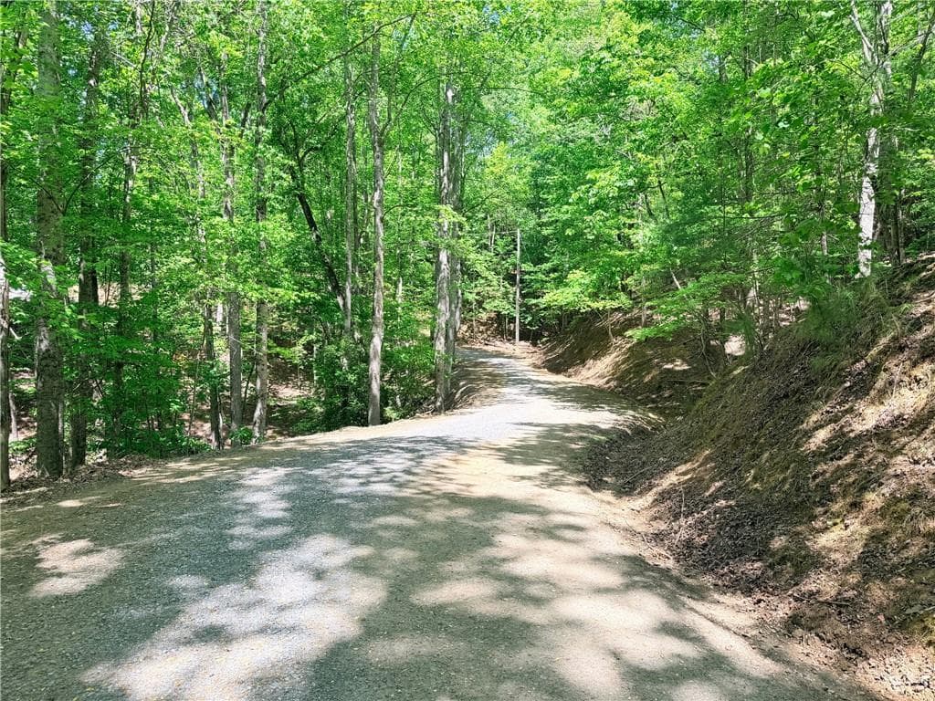 other for sale at 2075 Parody Circle, Ellijay, GA 30540 — photo 5