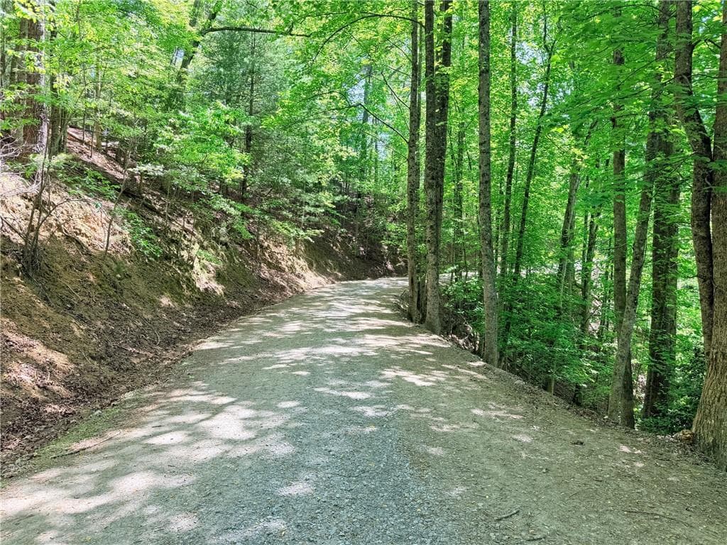 other for sale at 2075 Parody Circle, Ellijay, GA 30540 — photo 6