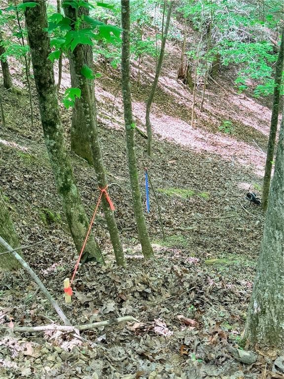 other for sale at 2075 Parody Circle, Ellijay, GA 30540 — photo 7