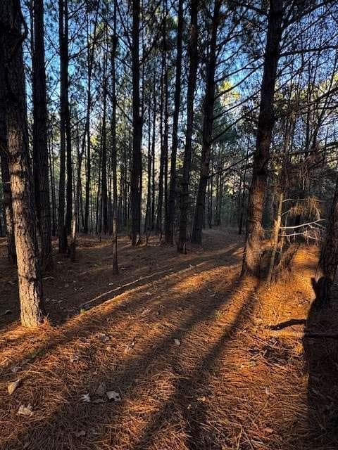 single family residence for sale at 0 Belford Way, Jackson, GA 30233 — photo 4