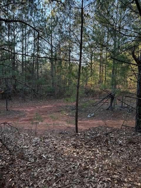 single family residence for sale at 0 Belford Way, Jackson, GA 30233 — photo 10