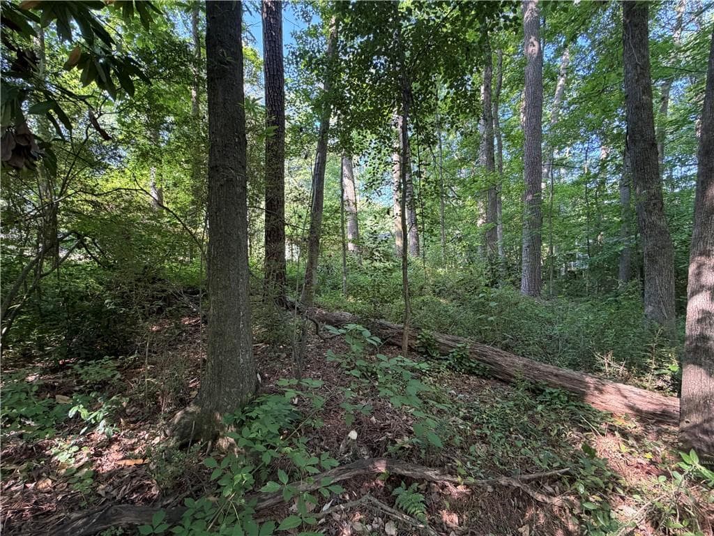 single family residence for sale at 0 Manning Drive, Alpharetta, GA 30009 — photo 4
