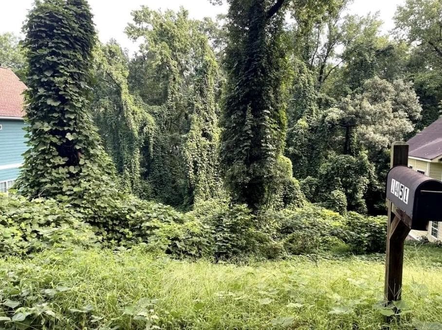 unimproved land for sale at 1451 Andrews Street, Atlanta, GA 30314 — photo 1 of 1
